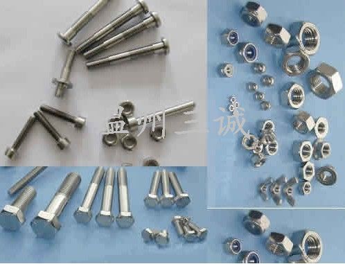 供應鈦醫(yī)用螺栓   鈦醫(yī)用螺栓報價 鈦醫(yī)用螺栓廠家