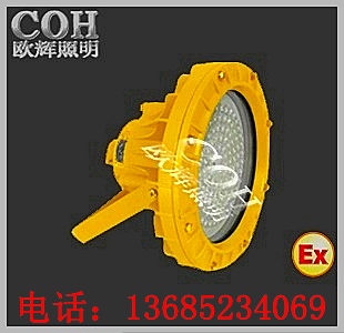 LED防爆投光燈，LED防爆燈，LED防爆頂燈