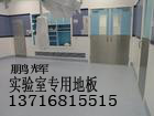 隆化實(shí)驗(yàn)室專用地板,實(shí)驗(yàn)室專用?；疑匕??；疑珜?shí)驗(yàn)室地板廠家
