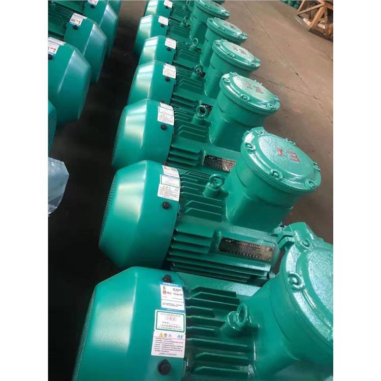合肥全新雙速電機(jī) 變頻高壓電機(jī)型號(hào)齊全