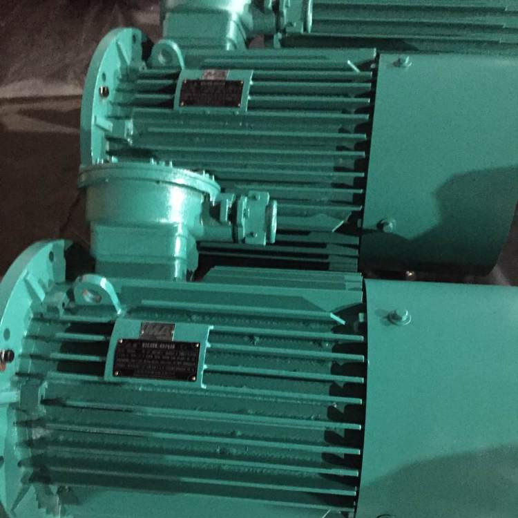 YB2高壓防爆電機(jī) 江蘇臥式防爆電機(jī)廠家