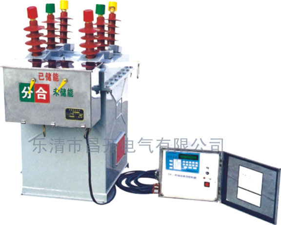 ZW8-12F/630-20電子看門(mén)狗，ZW8-12F/630-20電子看門(mén)狗