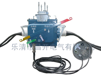 FZW28-12戶外分界真空負荷開關(guān)