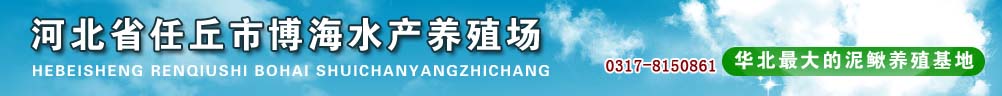 文安博海水產(chǎn)養(yǎng)殖場供應泥鰍魚苗