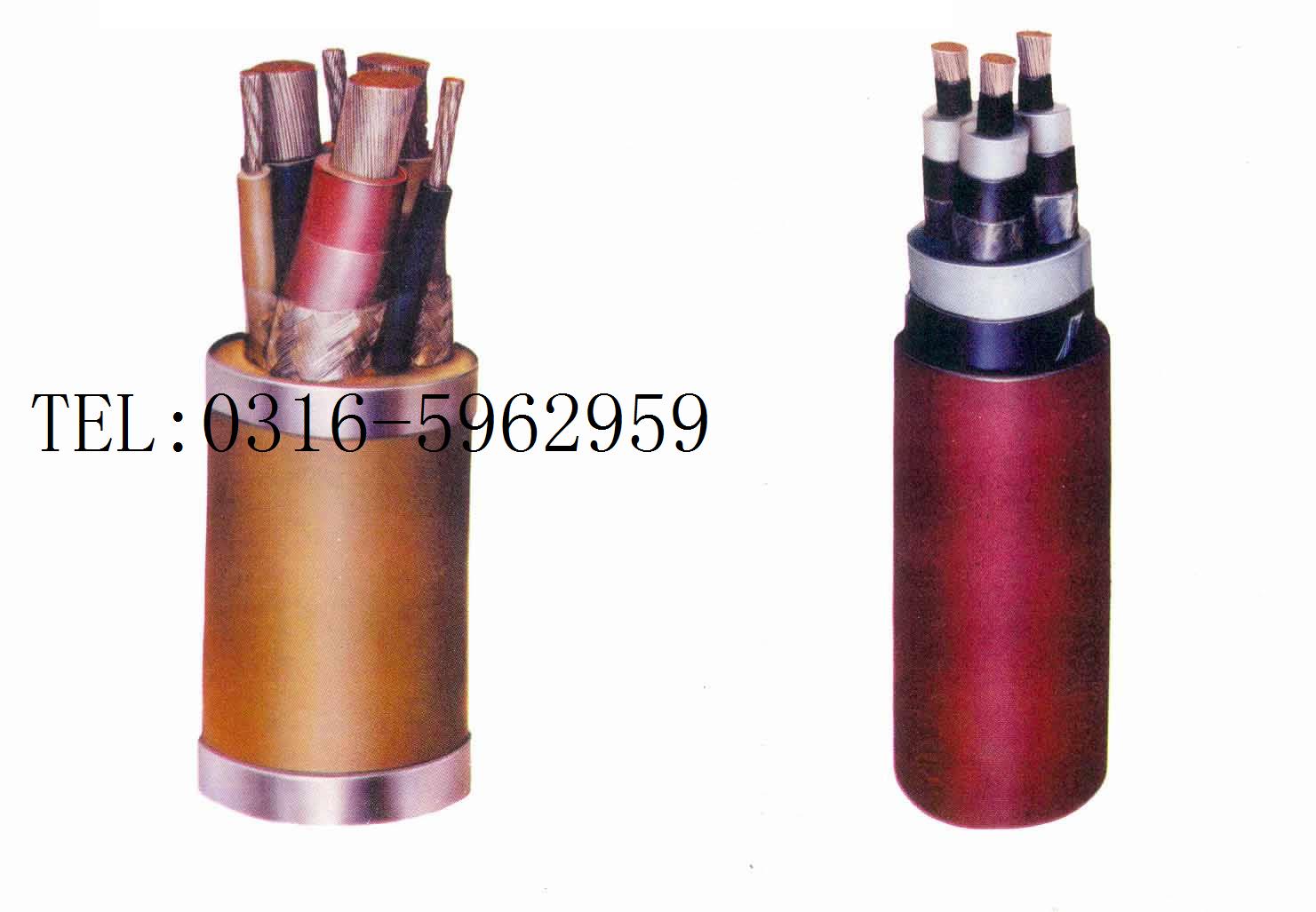 YZ電纜價(jià)格優(yōu)質(zhì)的YZ電纜廠(chǎng)家yz電纜標(biāo)準(zhǔn)