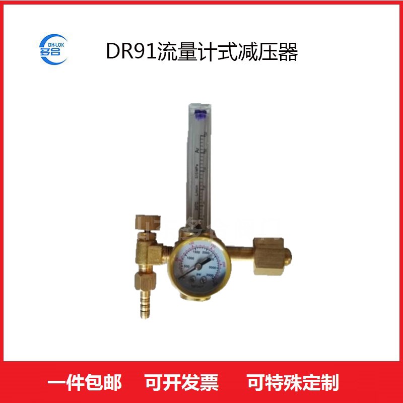 DR191流量計(jì)式氣體減壓閥黃銅減器氧氣表全銅壓力調(diào)節(jié)閥門