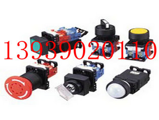 XB2系列復(fù)位按鈕開(kāi)關(guān)，XB2系列平頭復(fù)位按鈕開(kāi)關(guān)