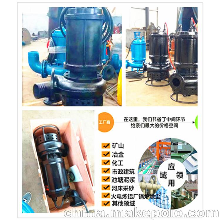 小形抽沙機潛水式抽沙機拆抽沙泵