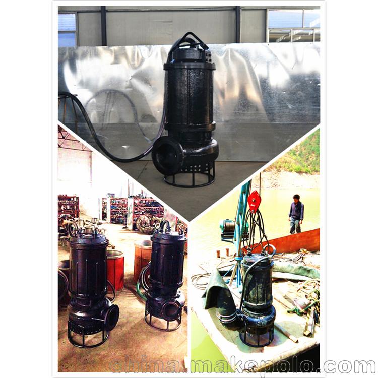 小形抽沙機(jī)潛水式抽沙泵小型電動(dòng)抽沙泵