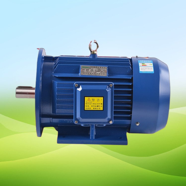 三相異步電動機YE3/YX3/YE2/Y2-315S-8-55KW380V銅芯交流電機馬達