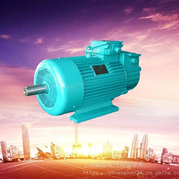繞線型起重冶金電機(jī)JZR2-72-10 100KW 10極治金起重專用電動(dòng)機(jī)
