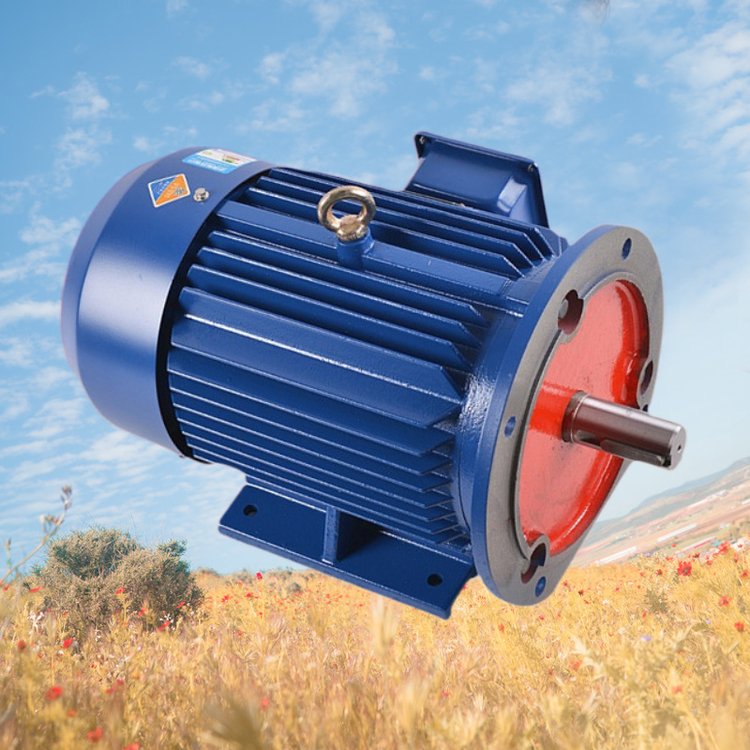 鑄鐵電機(jī)YE3/YX3/YE2-160M 11KW/2/4/6/8級(jí)立式三相異步電機(jī)
