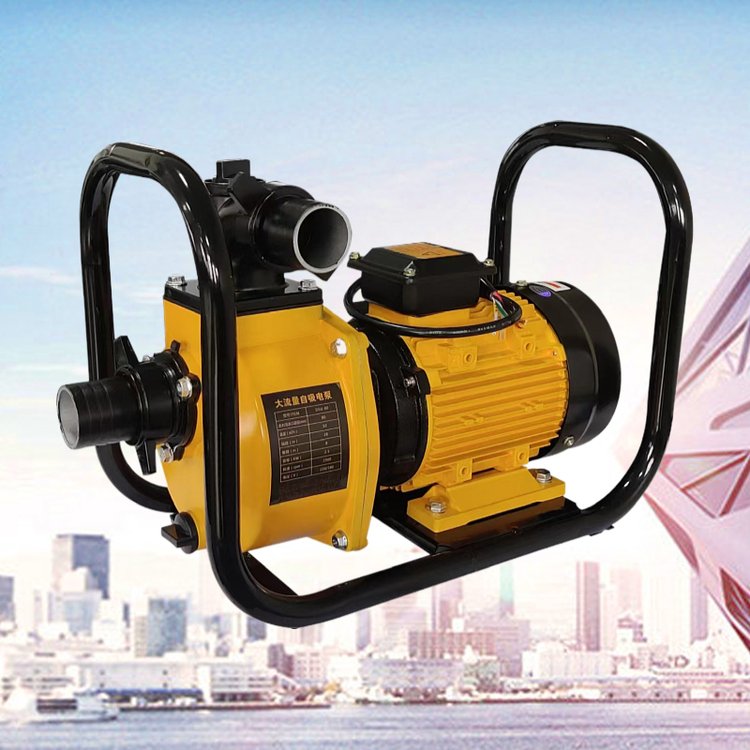 農(nóng)田灌溉抽水泵家用全自動自吸水泵高壓用電220V380V大吸力自吸泵