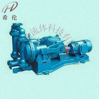DBY電動(dòng)隔膜泵