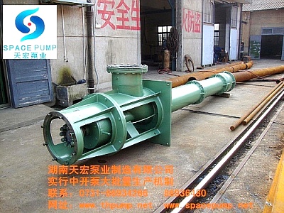珠海長(zhǎng)軸泵價(jià)格珠海長(zhǎng)軸泵廠家提供長(zhǎng)沙長(zhǎng)軸泵品牌天宏LC立式長(zhǎng)軸泵