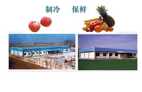 蔬菜冷庫(kù)