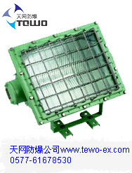 防爆泛光燈,BAT52-250防爆泛光燈BAT52-250，浙江防爆泛光燈廠家