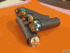 防水橡套扁電纜JHSB電纜規(guī)格型號