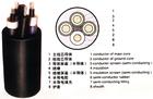 CEFR船用橡套電纜國家標(biāo)準(zhǔn) CEFR船用橡套電纜價(jià)格 CEFR船用橡套電纜規(guī)格