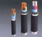 礦用阻燃電力電纜MVV MVV電纜，MVV22電力電纜