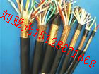 小貓計算機(jī)電纜報價
