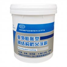 六盤水室外鋼結(jié)構(gòu)防火涂料***廠家