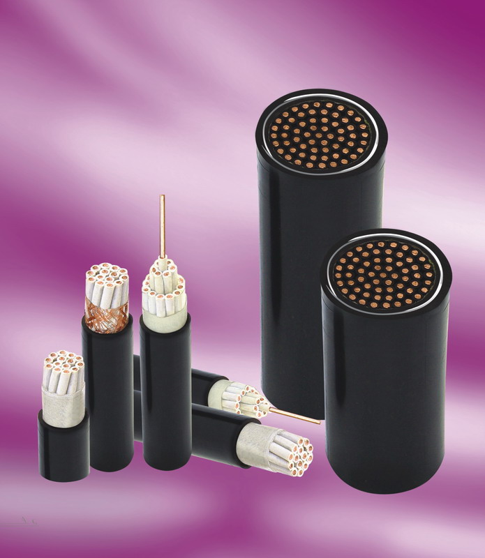 KVVP22鋼帶鎧裝屏蔽控制電纜