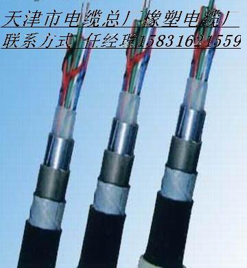 鐵路信號電纜PTYA PTYA-8×1.0㎜電纜價格