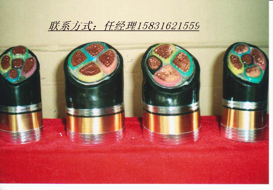 VV銆乑R-YJV闃荤噧闆诲姏闆荤簻ZR-VV寤犲