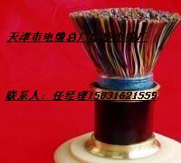 澶╂触闆荤簻-鍏呮补閫氫俊闆荤簻ZRC-HYAT