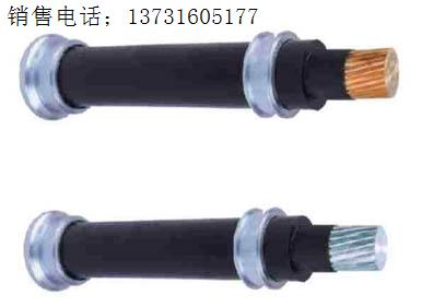 MC MCP國標(biāo)MC電纜價(jià)格 國標(biāo)MCP電纜報(bào)價(jià)