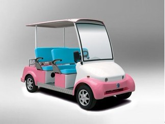 4座觀(guān)光瀏覽電瓶車(chē)