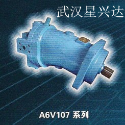 斜軸式柱塞泵A6V107HS21G