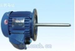化學(xué)泵電機 馬達