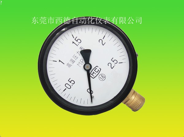 耐高溫蒸汽壓力表