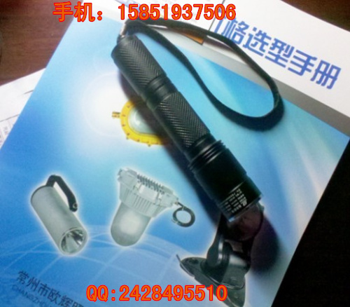 BAD202C 適用性強的LED微型防爆調(diào)光電筒