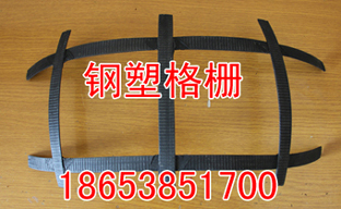 安徽鋼塑土工格柵【價格是？鋼塑土工格柵】安徽鋼塑土工格柵廠家