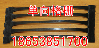 太原鋼塑土工格柵【太原鋼塑土工格柵——產(chǎn)品價格】
