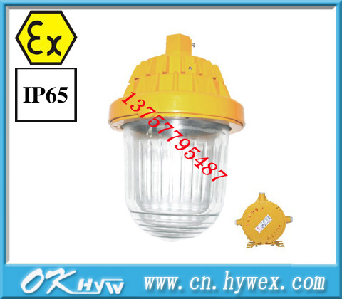 BPC8720防爆平臺燈 BPC8720 BPC8720