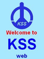 KSS尼龍扎線帶CV-100