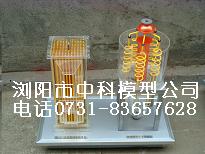 【換熱器模型，蒸發(fā)器模型，塔設(shè)備模型】