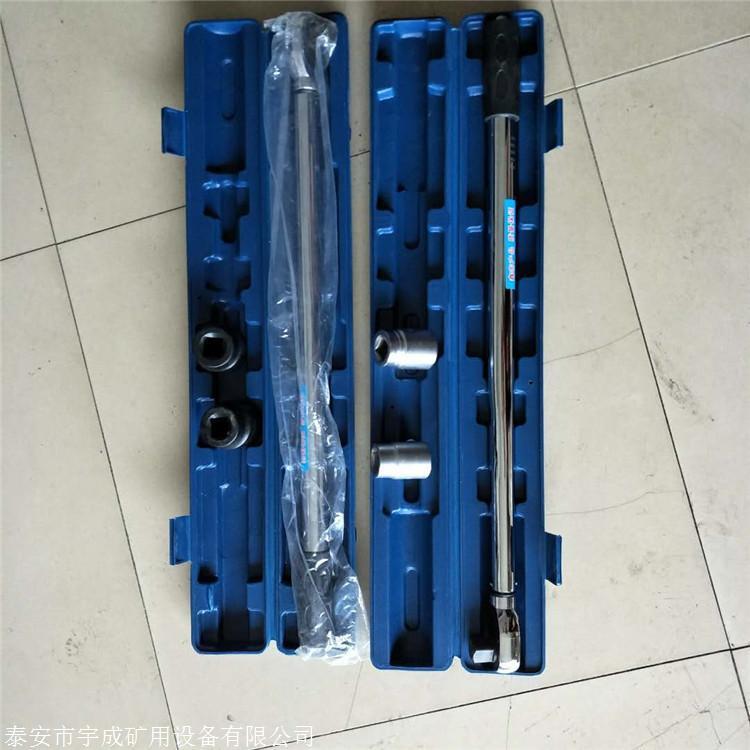 TG300預(yù)置式錨桿扭矩扳手?jǐn)y帶方便TG500扭力扳手