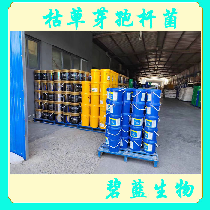 枯草芽孢桿菌魚(yú)蝦蟹專用菌劑凈水調(diào)水抑菌降氨氮降亞鹽飼料添加劑