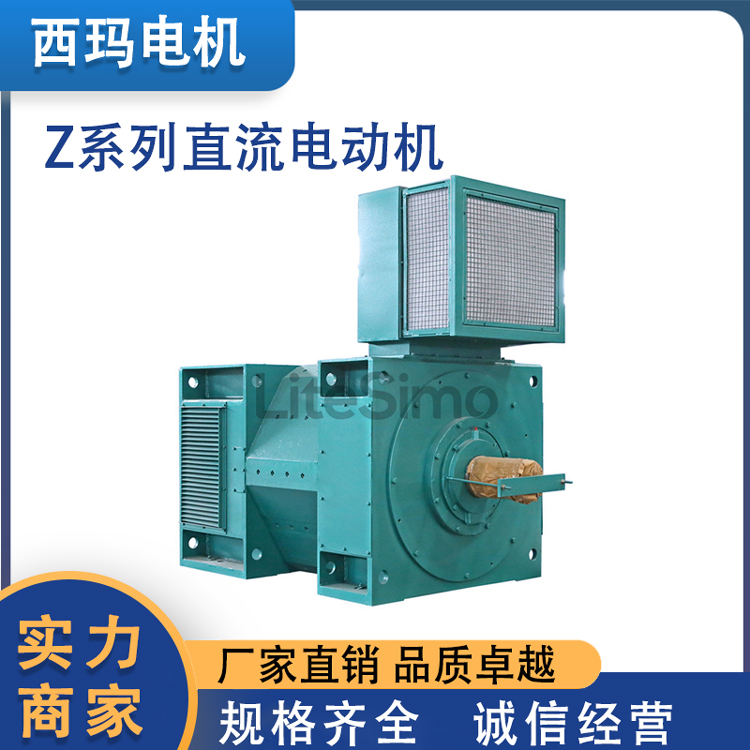 利特西瑪電機(jī)Z系列中型直流電動(dòng)機(jī)防護(hù)等級(jí)IP23和1P44可控硅電源