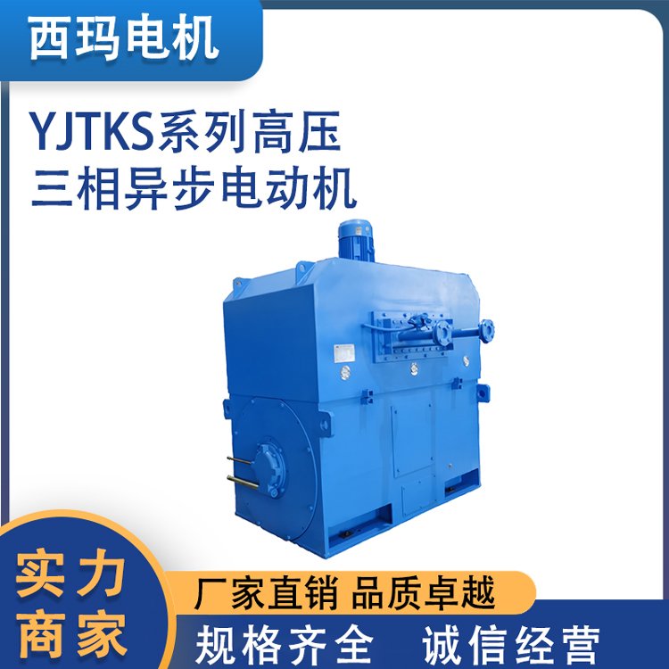 YJTKS列高壓6KV\/10KV三相異步電動機鼠籠型轉(zhuǎn)子電機生產(chǎn)廠家定制