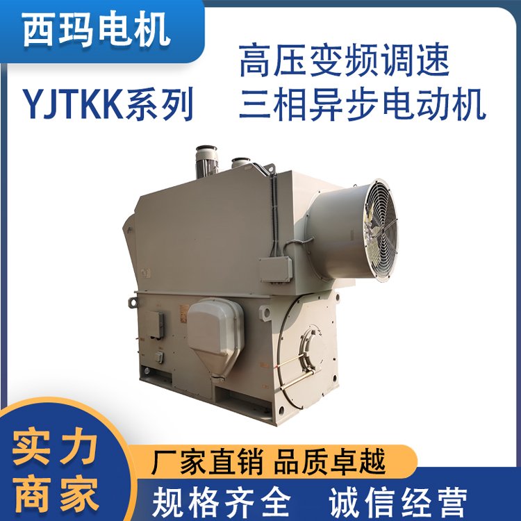 YJTKK系列高壓變頻調(diào)速三相異步電動機(jī)額定頻率50Hz