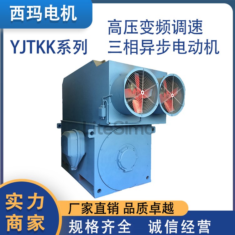 高壓變頻調(diào)速三相異步電動(dòng)機(jī)鋼板焊接箱式結(jié)構(gòu)S1連續(xù)工作制可定制