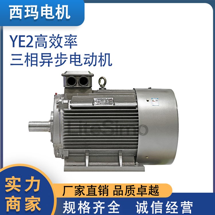 低壓全封閉自扇冷式高效率鼠籠式三相異步電動(dòng)機(jī)YE2利特西瑪機(jī)電
