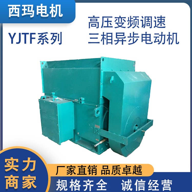 利特西瑪電機(jī)YJTF系列高壓變頻調(diào)速三相籠型轉(zhuǎn)子異步電動機(jī)振動小