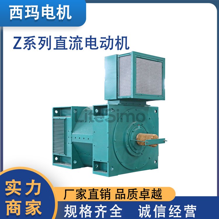 利特西瑪電機(jī)Z系列中型直流電動(dòng)機(jī)防護(hù)等級(jí)IP23和1P44可控硅電源
